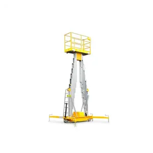 Çift Direk Dikey Platform